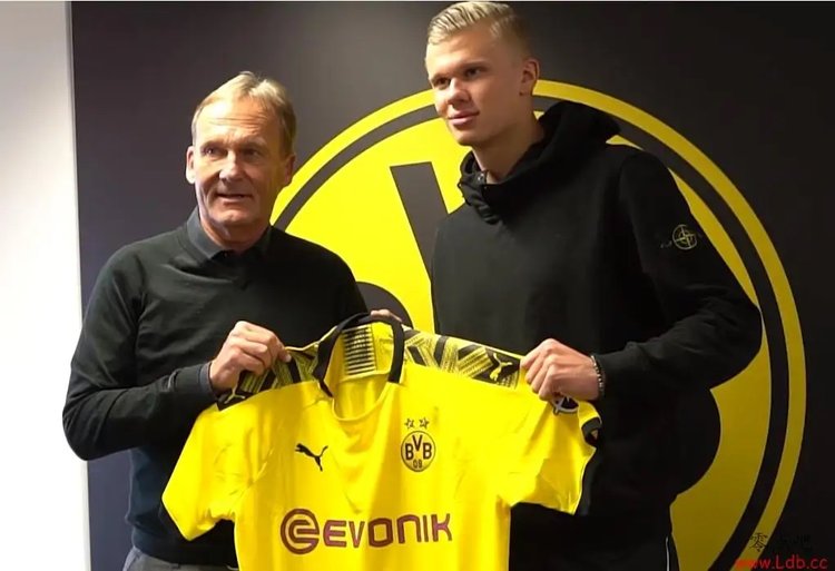 放箭干净 放箭干净